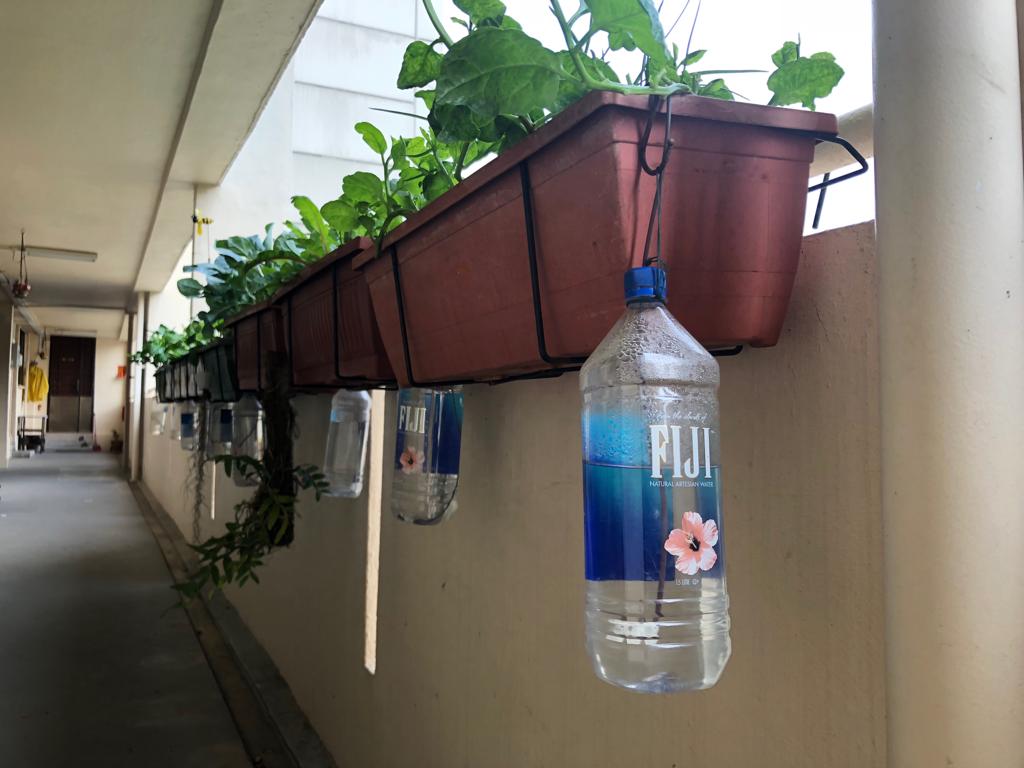Watering System Installed for the Potted Plants